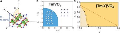 Nuclear magnetic resonance studies in a model transverse field Ising system